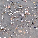 Luxe Village Naturiste Zébra