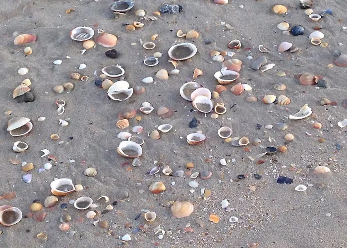 Luxe Village Naturiste Zebra